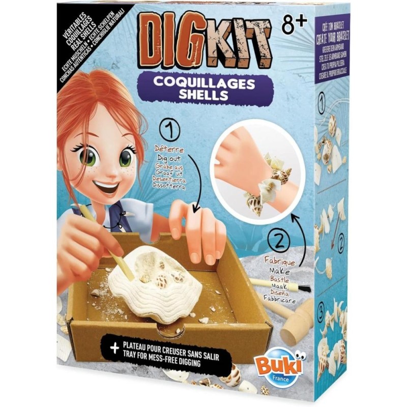 Coquillages 440